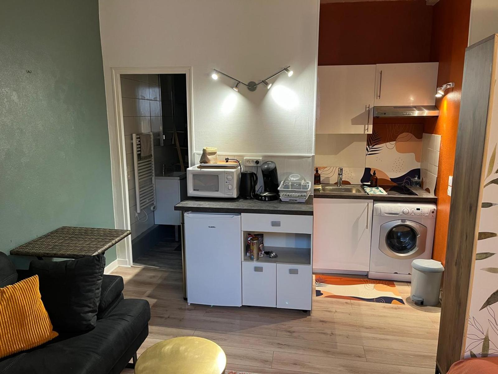 Studio Cosy En Coeur De Ville Pau Zewnętrze zdjęcie